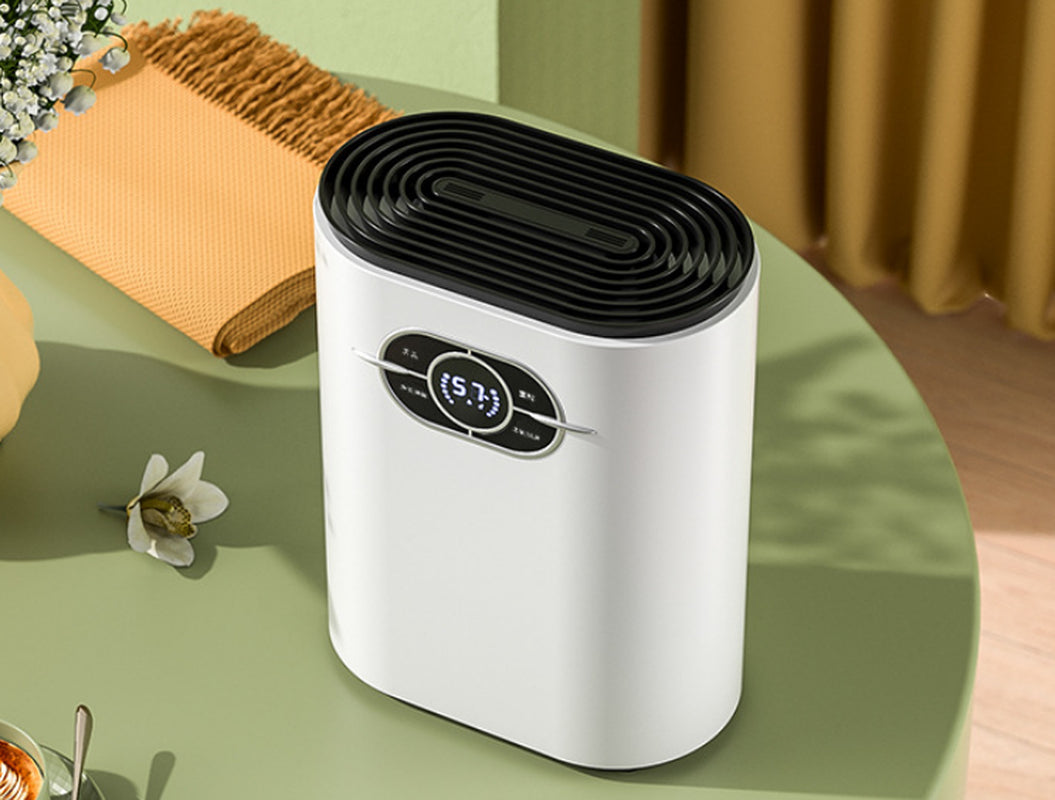 Household Bedroom Dehumidification Indoor Moisture Absorber